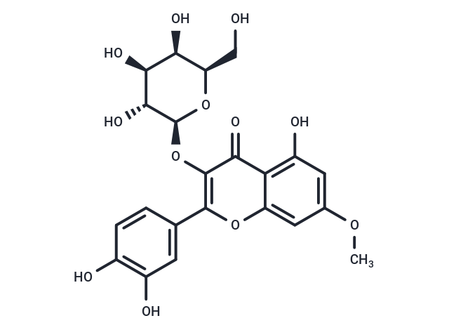 Rhamnetin 3-galactoside