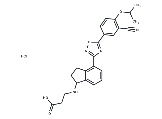 RP-001 hydrochloride