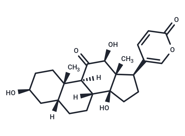 Bufarenogin