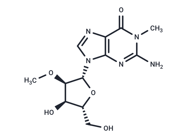 N1,2’-O-dimethylguanosine