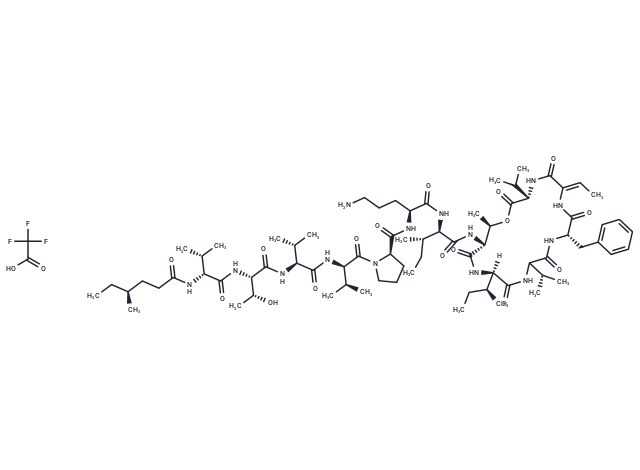 PM 02734