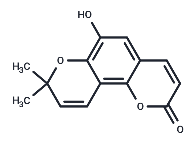 Norbraylin