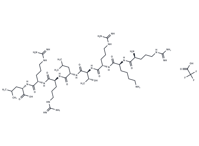 EGFR Peptide (human, mouse) TFA