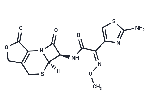 3-Desacetyl Cefotaxime lactone