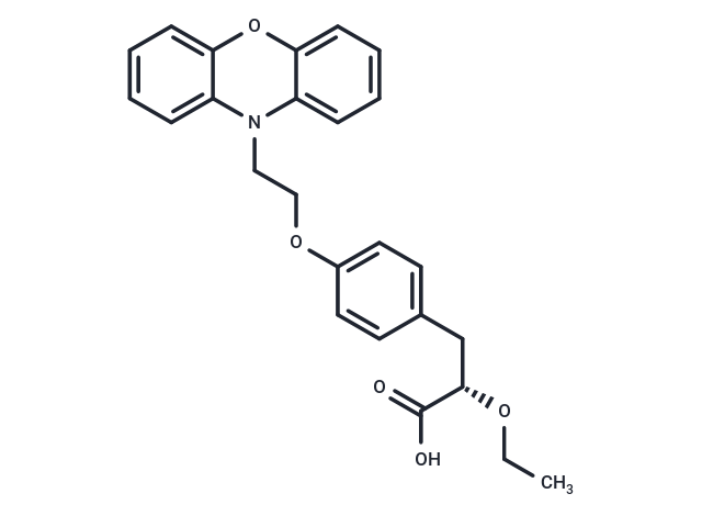 Ragaglitazar