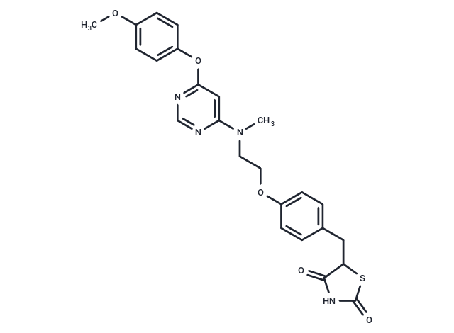 Lobeglitazone