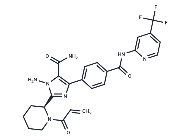 BTK inhibitor 19