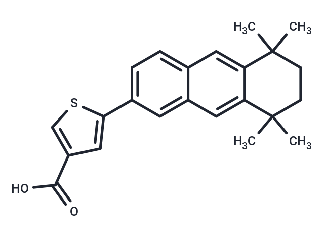 CD 2314