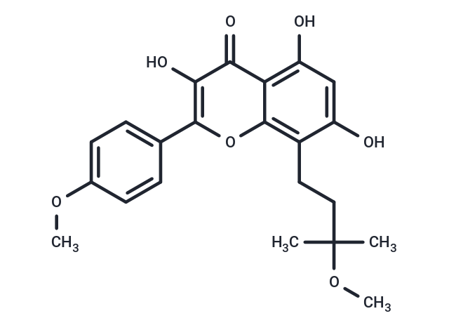 Brevicornin