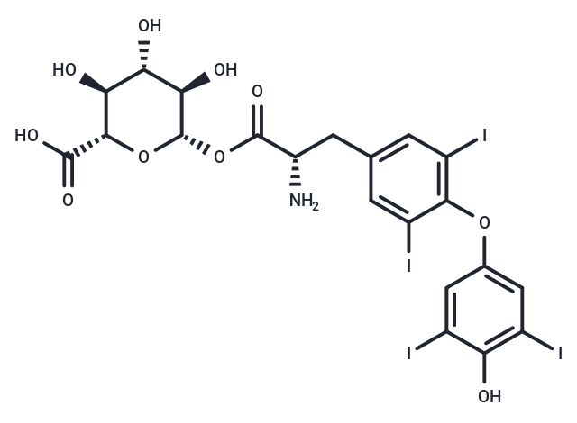 Levothyroxine acyl glucuronide