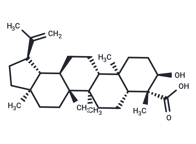 Lupeolic acid