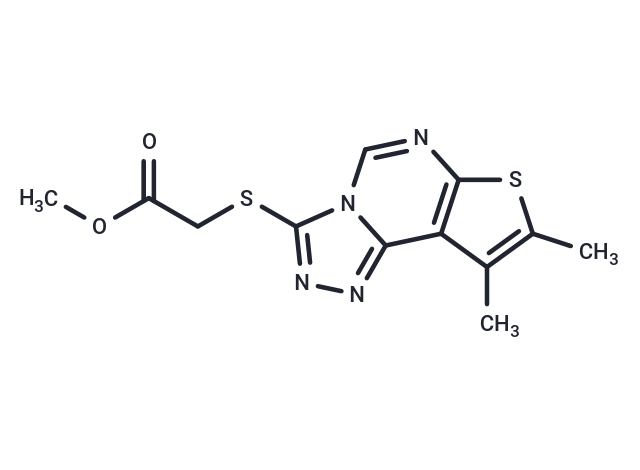 BDW568