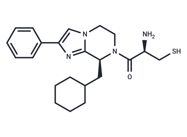 BIM-46174