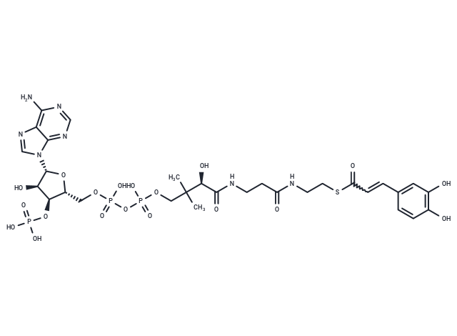 Caffeoyl-CoA