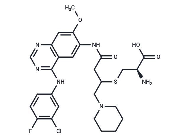 Dacomitinib metabolite M2