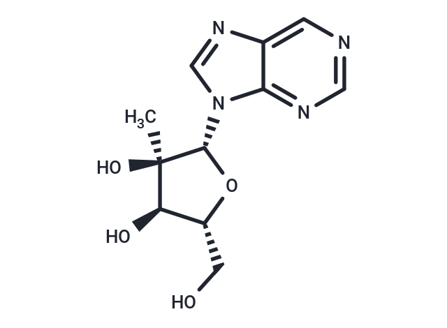 9-(2-C-methyl-β-D-ribofuranosyl)purine