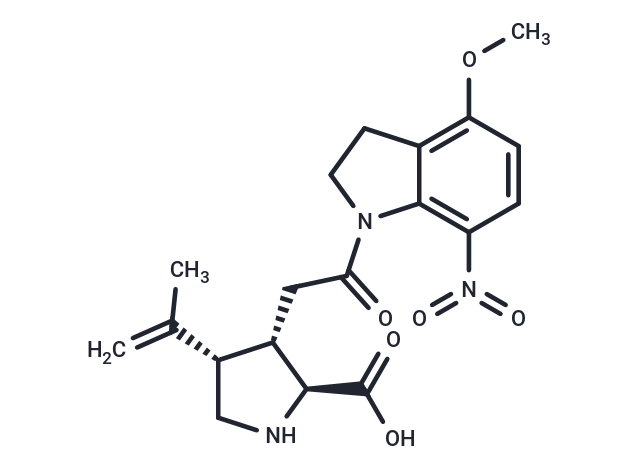 MNI caged kainic acid