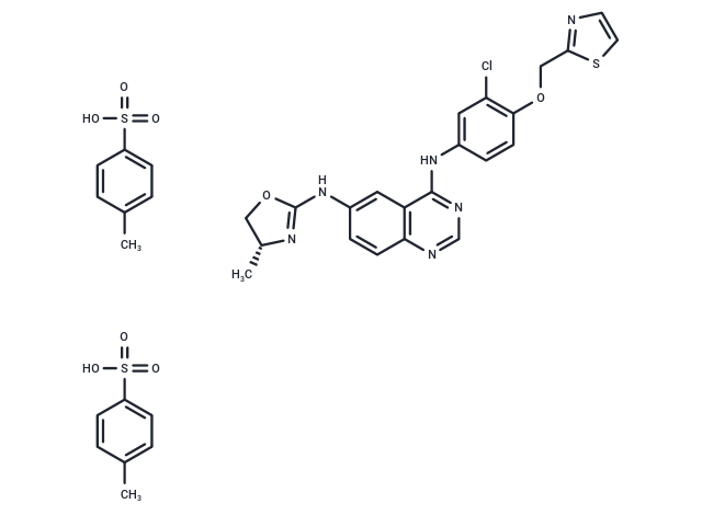 Varlitinib Tosylate