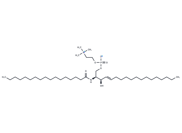 C17 Sphingomyelin (d18:1/17:0)