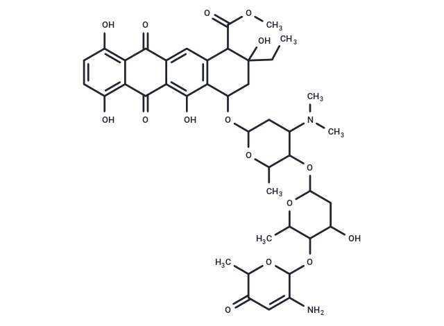 Rudolfomycin