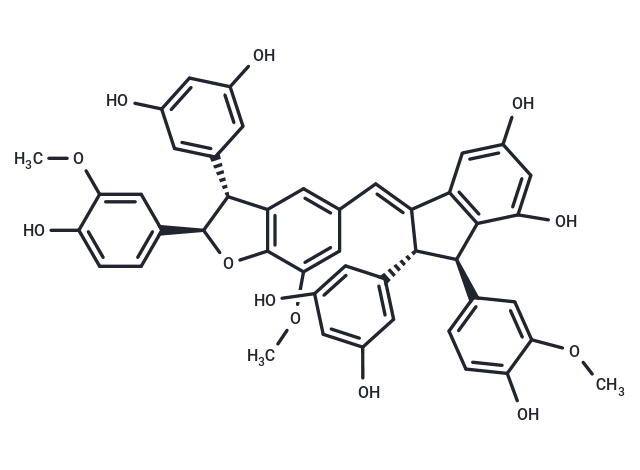 Gnetuhainin N