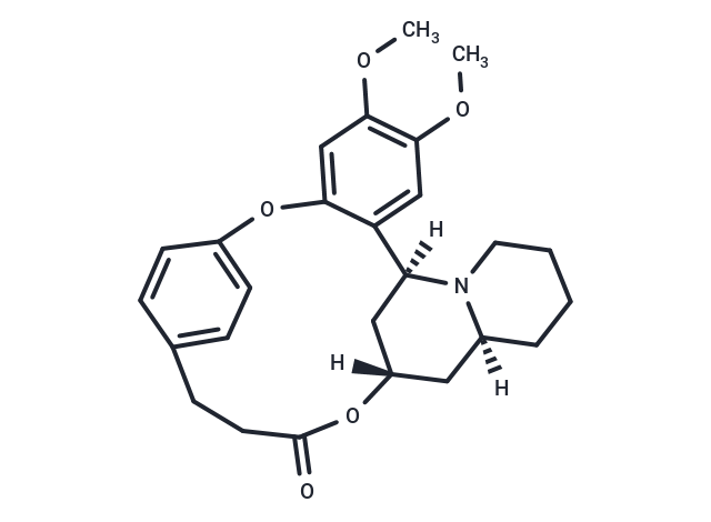 Decalin