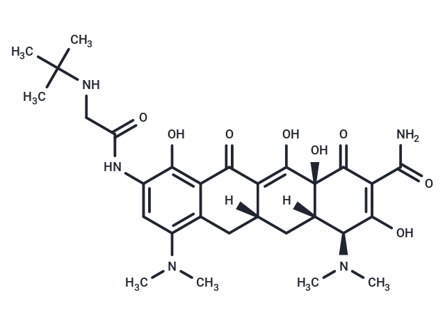 Tigecycline