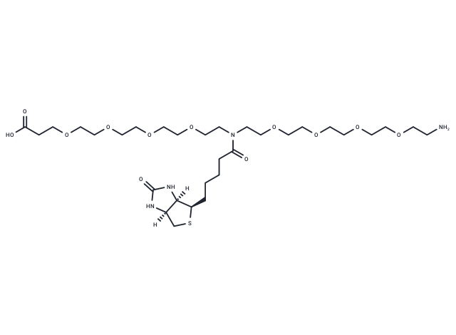 N-(Amino-PEG4)-N-Biotin-PEG4-acid