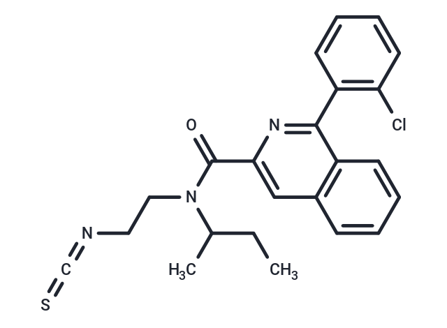 Ahn 070