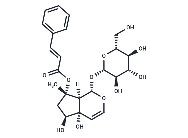 6-Epiharpagoside