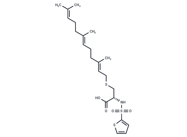 ICMT-IN-21