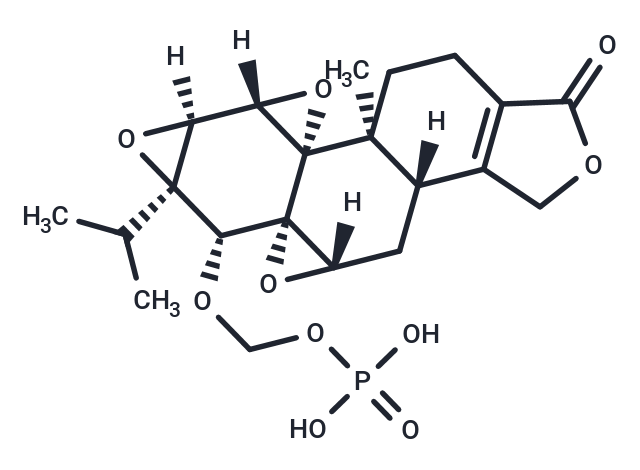 Minnelide free acid