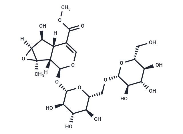 6′-O-β-D-Glucopyranosylphlorigidoside C