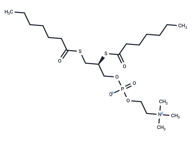 1,2-bis(heptanoylthio) Glycerophosphocholine