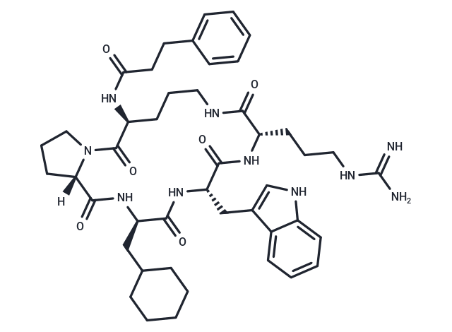 PMX 205