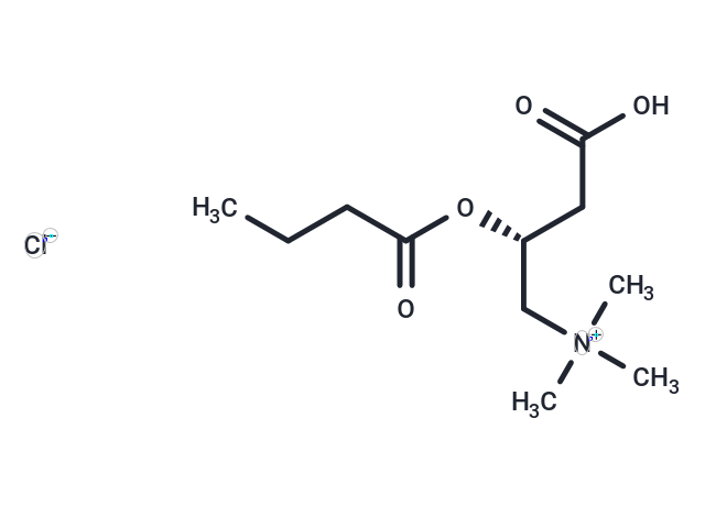 Butyryl-L-carnitine (chloride)