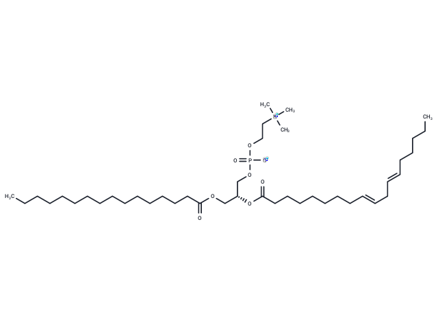 Lecithin