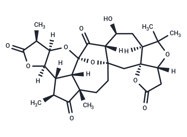 Lancifodilactone C