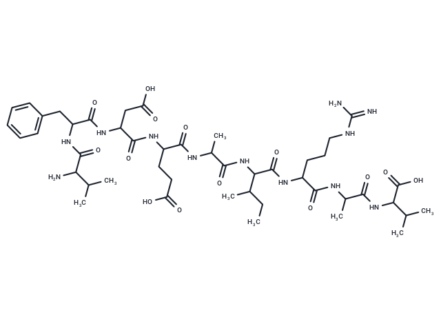 Rac GTPase fragment