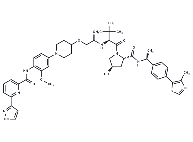 JNJ-1013