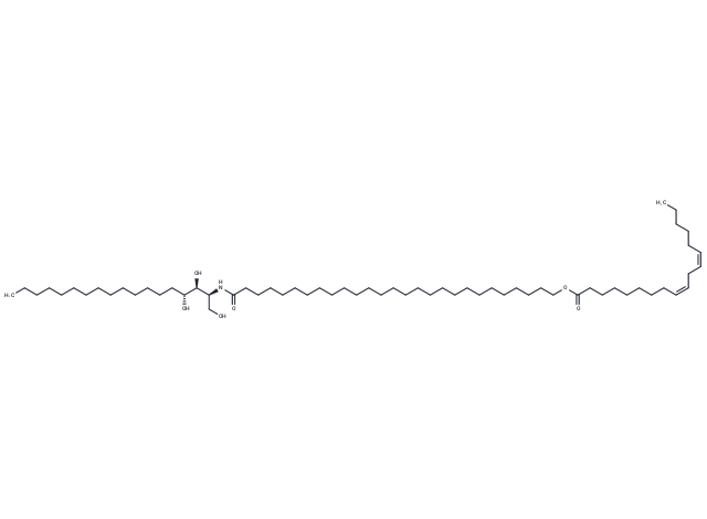 Ceramide 1 A