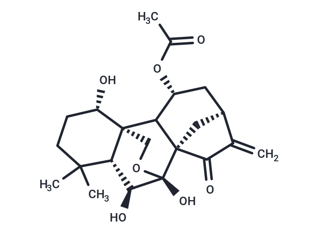 Taibaihenryiins A