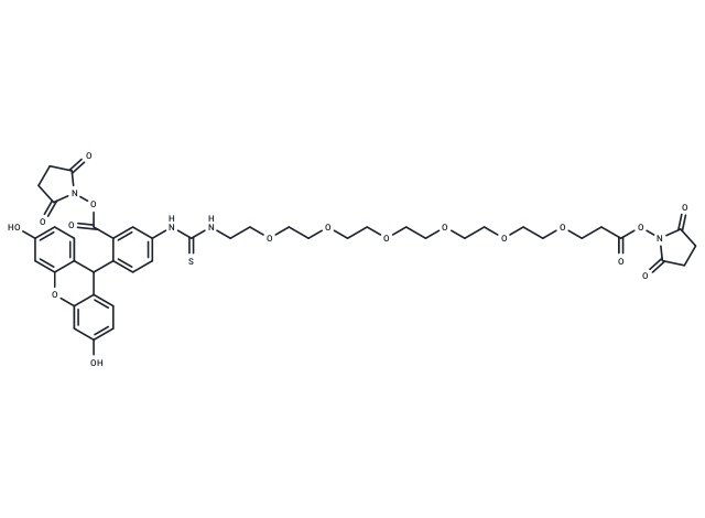 Fluorescein-PEG6-bis-NHS ester