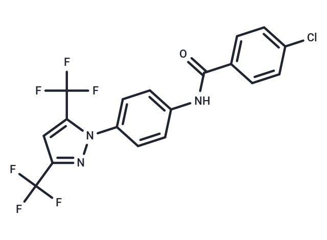 BTP1