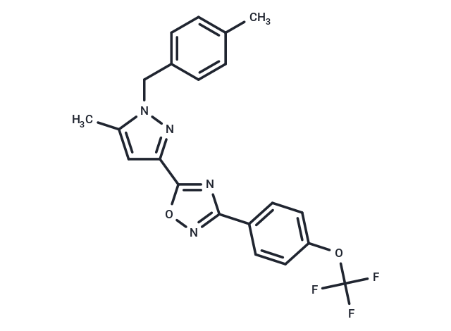 HIF-IN-33