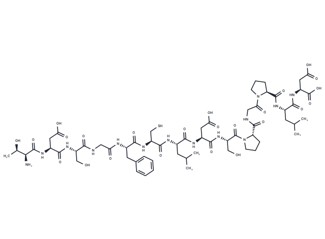 Cdc25A (80-93) (human)