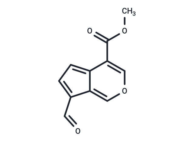 Cerbinal