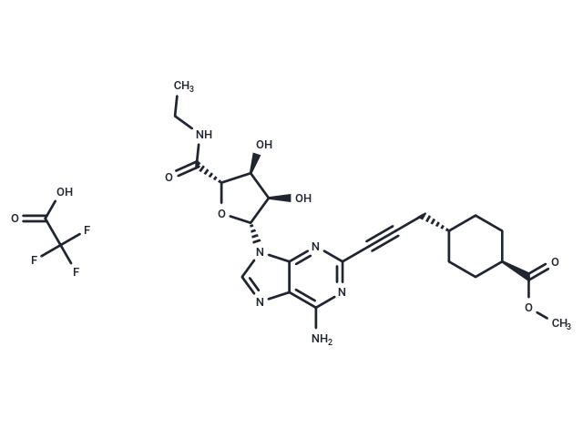 Apadenoson TFA