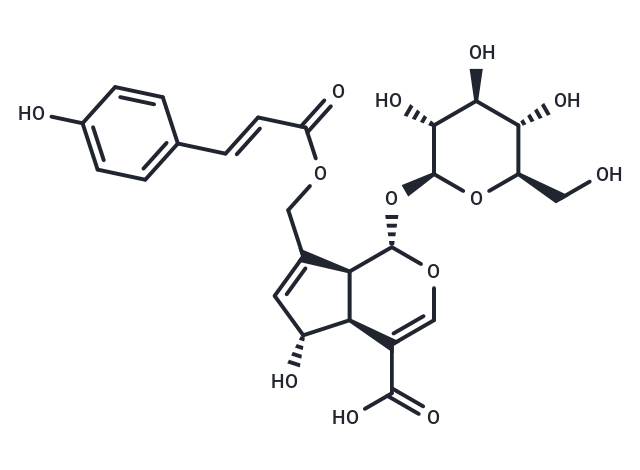 10-O-trans-p-coumaroylscandoside