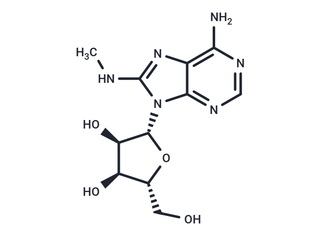 8-Methyaminoadenosine